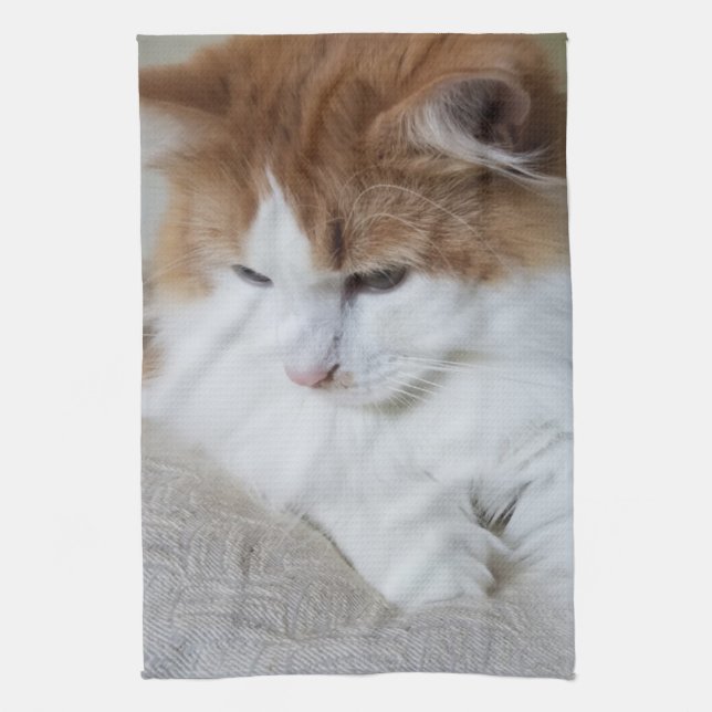 (Feline Fancy) Kitty Contemplation: Cat Photo Tea Towel (Vertical)