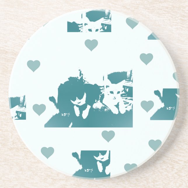 Feline Friends. Adorable Kitten Duo. Coaster (Front)