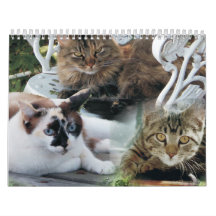 feline friends calendar