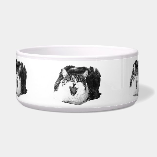 Feline Fun, Dish Art (Front)