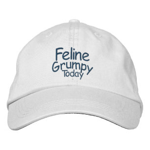 Feline Grumpy Today Embroidered Hat