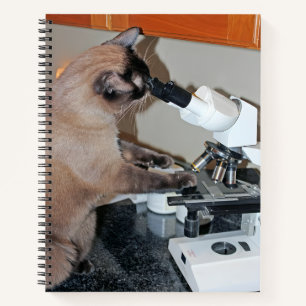 Feline Microscopy: A Curious Investigation Notebook
