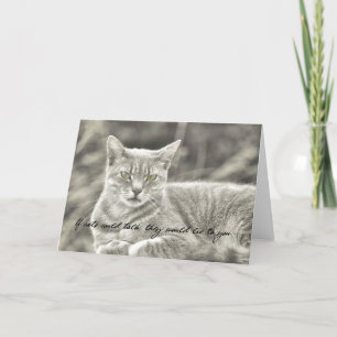 FELINE MOMENT Greeting Card