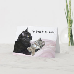Feline Mother's Day Card