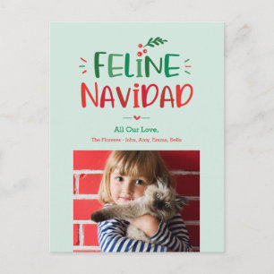 Feline Navidad Pet Christmas Holiday Postcard