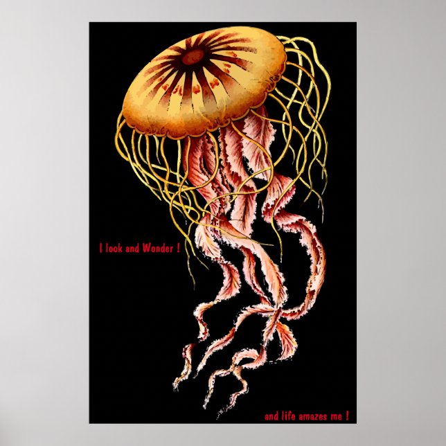 Feline  Poster (Front)