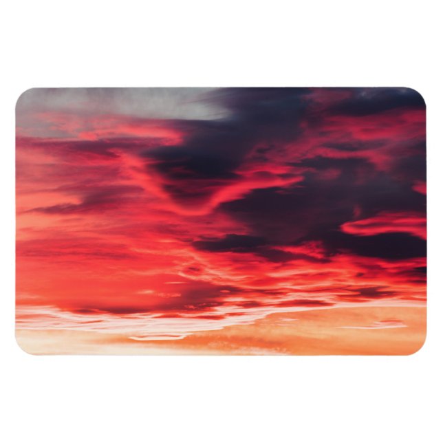 feline wave magnet (Horizontal)