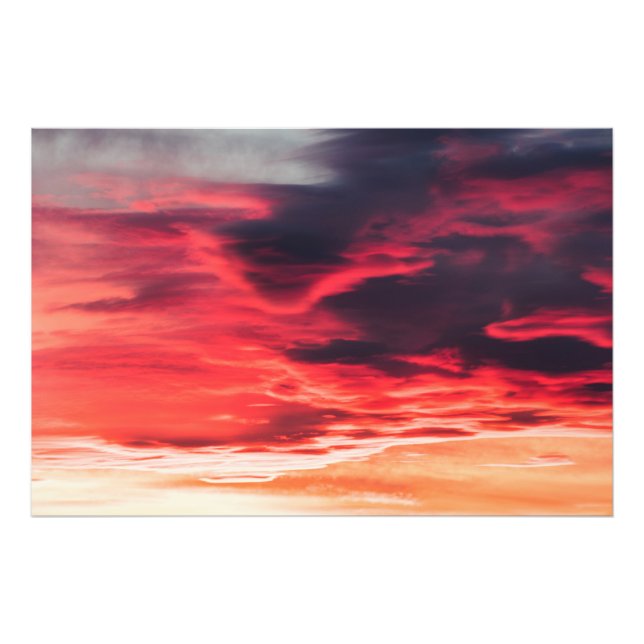 feline wave photo print (Front)