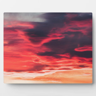 feline wave plaque