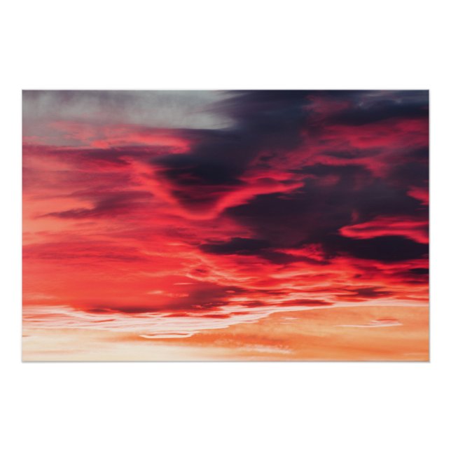 feline wave poster (Front)