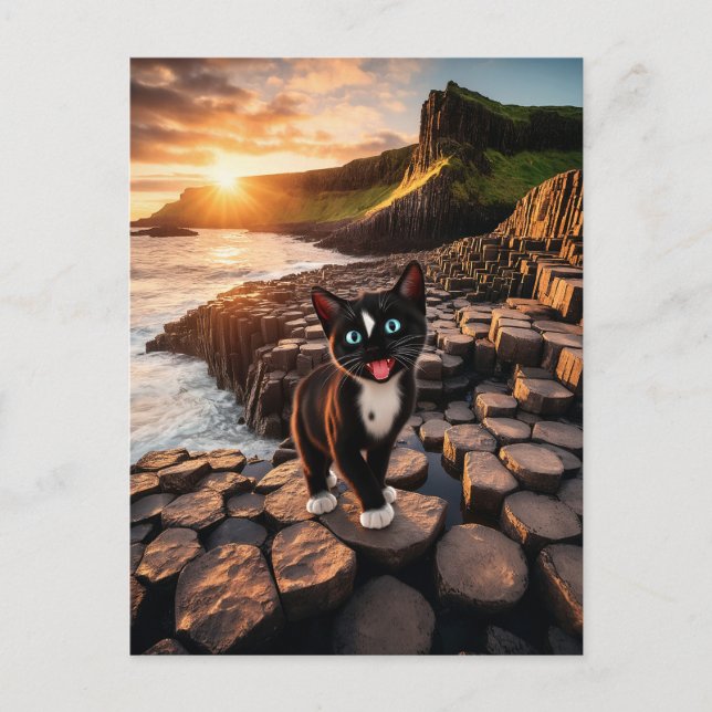 Felini’s Irish Adventure – The Giant’s Causeway Postcard (Front)
