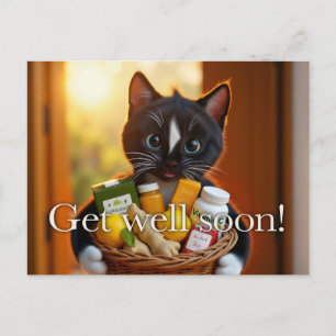 Felini's Get Well Soon Card   Cute Cat Gift Basket