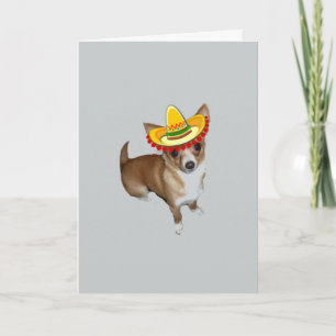 Feliz Cinco de Mayo Card