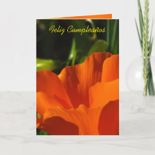 Feliz Cumpleaños - Amapola de California Card