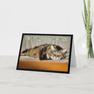 Feliz Cumpleaños Spanish Birthday with kitty cat Card