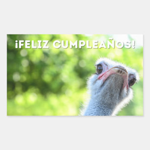 Feliz cumpleaños, Spanish happy birthday  Rectangular Sticker