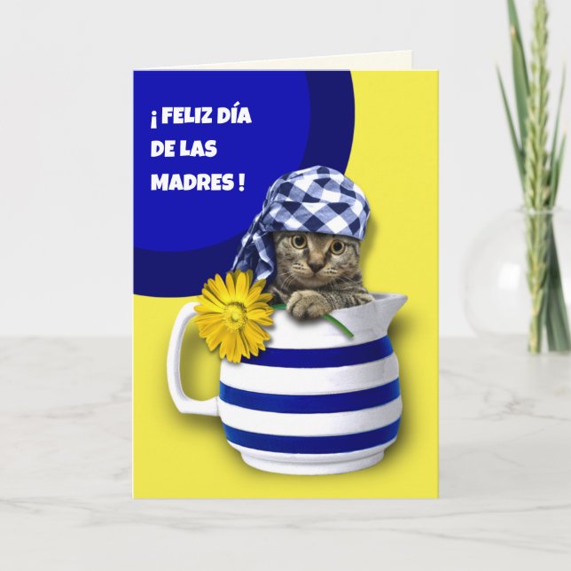 Feliz Día de las Madres. Mother's Day in Spanish Card (Front)