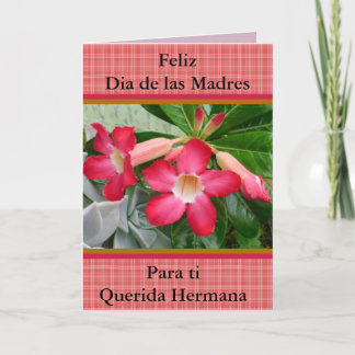 Feliz Dia de las Madres Querida Hermana 321 Card