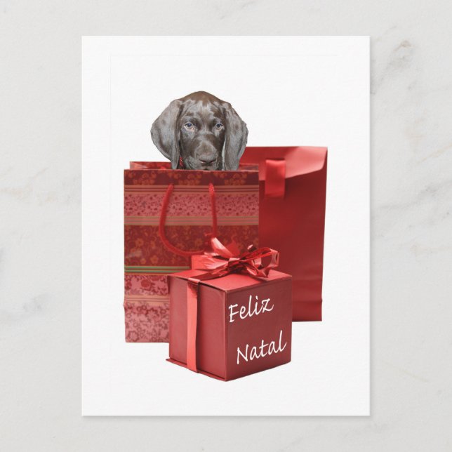 Feliz Natal german shorthaired pointer Chistmas Postcard (Front)