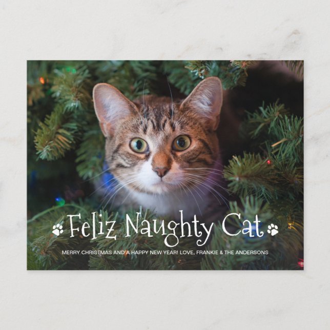 Feliz Naughty Cat Funny Personalised Pet Photo Hol Postcard (Front)