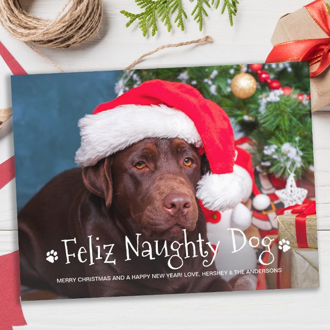 Feliz Naughty Dog Funny Personalised Pet Photo Hol Postcard (Creator Uploaded)