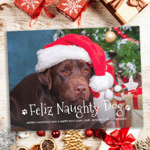 Feliz Naughty Dog Funny Personalised Pet Photo Holiday Postcard