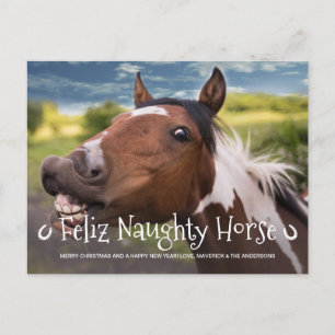 Feliz Naughty Horse Funny Personalised Pet Photo Holiday Postcard