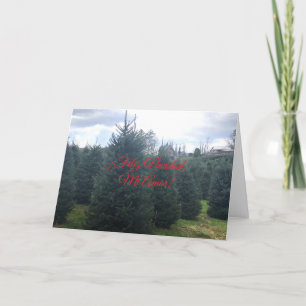 Feliz Navidad a mi Novio.  Spanish Christmas Card