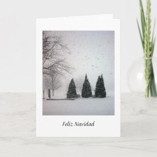 Feliz Navidad Card
