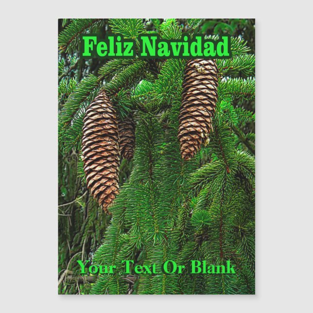 Feliz Navidad - Cones And Needles (Front)