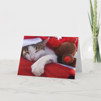 Feliz Navidad Holiday Card