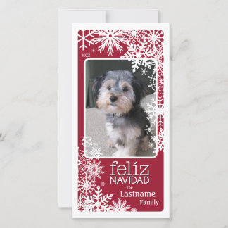 Feliz Navidad - Let It Snow! Holiday Card