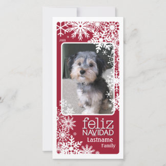 Feliz Navidad - Let It Snow! Holiday Card