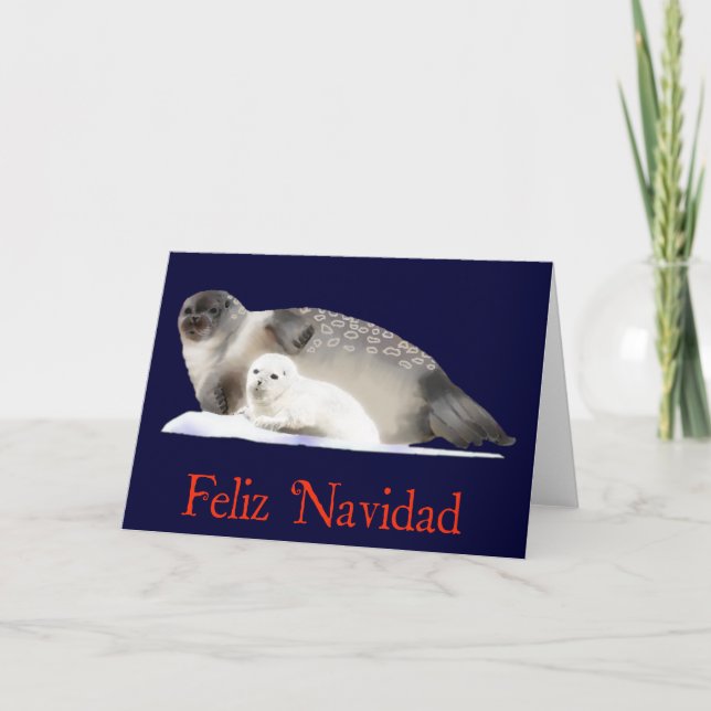 Feliz Navidad - Ringed Seal Holiday Card (Front)