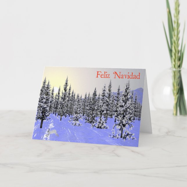 Feliz Navidad - Winter Solstice Holiday Card (Front)