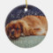 Feliz Navidog | Holiday Photo