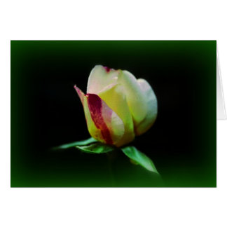 "Fellowship On The Path"