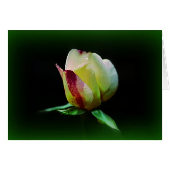 "Fellowship On The Path" (Front Horizontal)