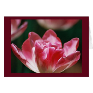 "Fellowship On The Path"