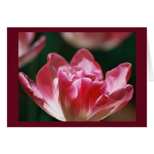 "Fellowship On The Path" (Front Horizontal)