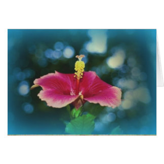 "Fellowship On The Path"