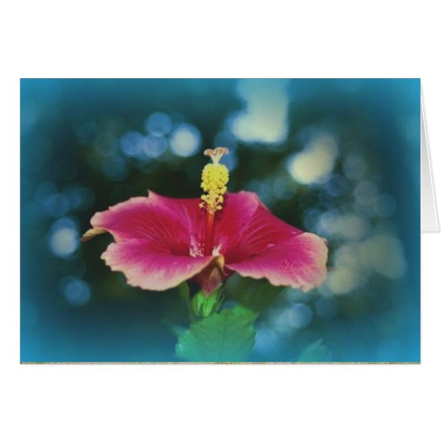 "Fellowship On The Path" (Front Horizontal)