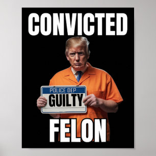 Felon Donald Trump 2024  Poster