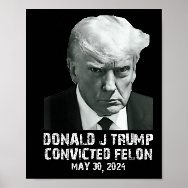 Felon Donald Trump Guilty Lock Him Up Trump Prison Poster (Front)