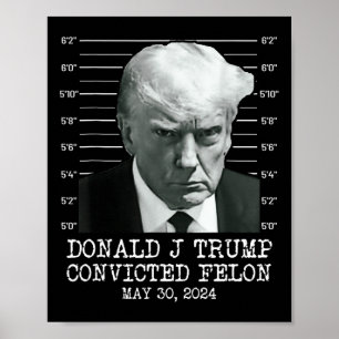 Felon Donald Trump Guilty Lock Him Up Trump Prison Poster