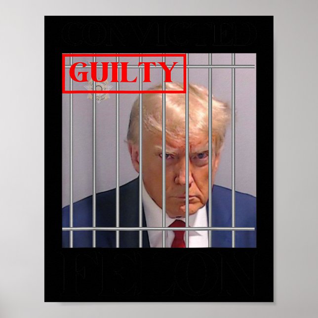 Felon Donald Trump Guilty Lock Him Up Trump Prison Poster (Front)