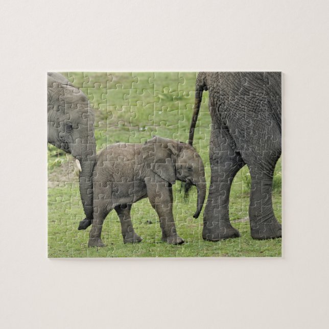 Female African Elephant with Baby Jigsaw Puzzle (Horizontal)