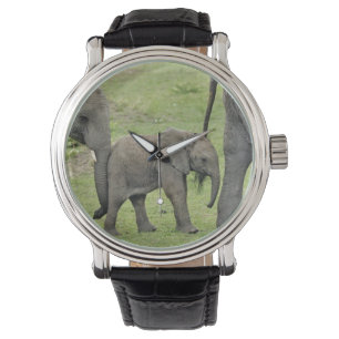 Female African Elephant with Baby Watch