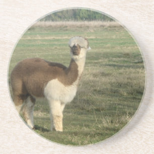 Female alpaca coaster