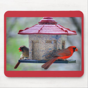 Female and Male Cardinals at Bird Feeder Mousepad